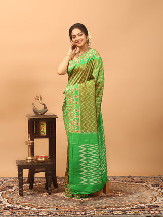 Leaf Green & Rust-Red Dual-Tone Single Ikkat Pochampally Silk Saree with Hand-Embroidered Border
