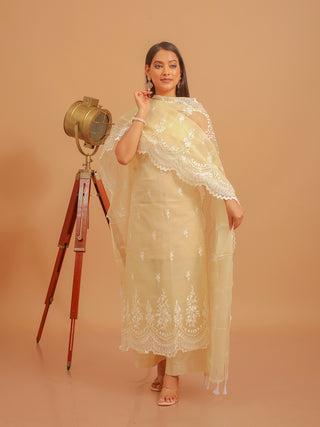 Ivory Organza Silk Suit with White Resham Embroidery