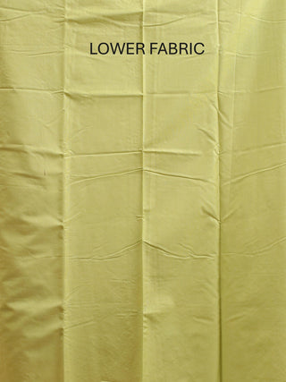 Pistachio Green Banarasi Silk Linen Suit with Floral Embroidery