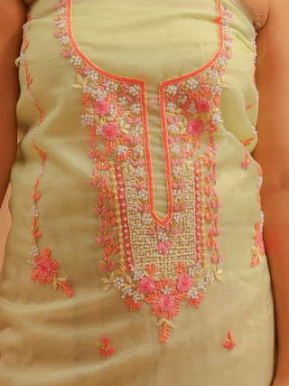 Light Pistachio Green Organza Dress Material with Hand Embroidery and Rose-Pink Accents