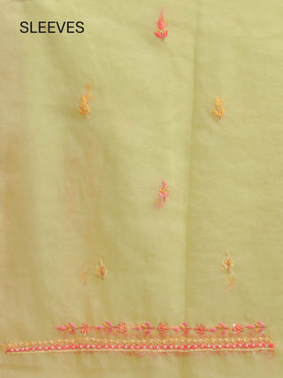 Light Pistachio Green Organza Dress Material with Hand Embroidery and Rose-Pink Accents