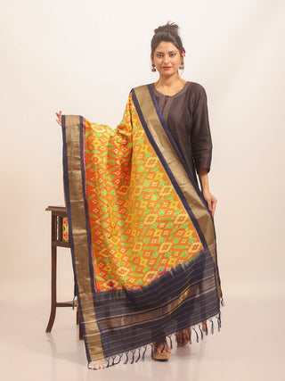 Orange Pochampally Pure Silk Dupatta with Midnight Blue Border