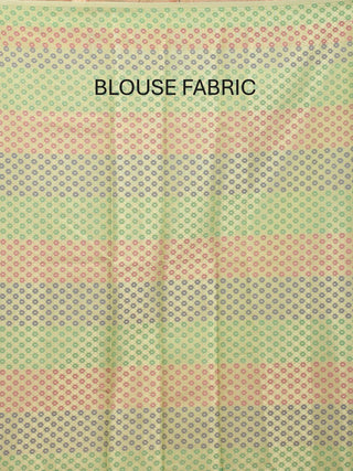 Pista Green Supernet Banarasi With Multicolour Patola Weaves