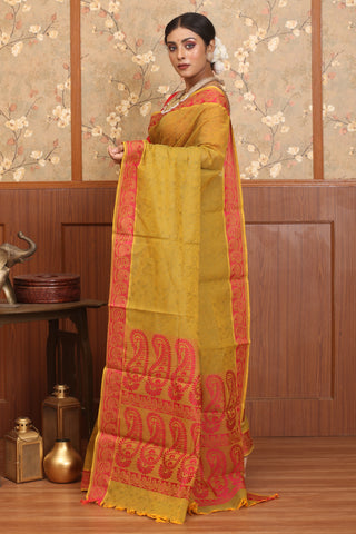 Olive Green-Mustard Yellow Dual Tone Coimbatore Pure Cotton Saree