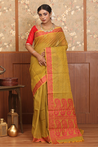 Olive Green-Mustard Yellow Dual Tone Coimbatore Pure Cotton Saree