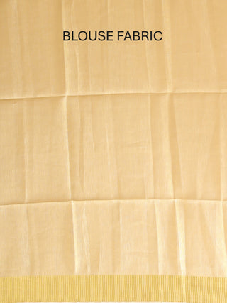 Tissue Silk Saree with Hand Aari Embroidery and Matte Gold Border