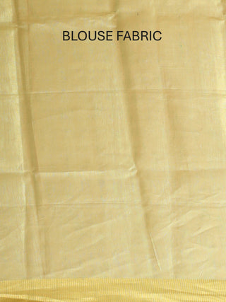 Tissue Silk Saree with Hand Aari Embroidery and Matte Gold Border