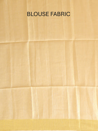 Pistachio Green Tissue Silk Saree with Hand Aari Embroidery & Matte Gold Border