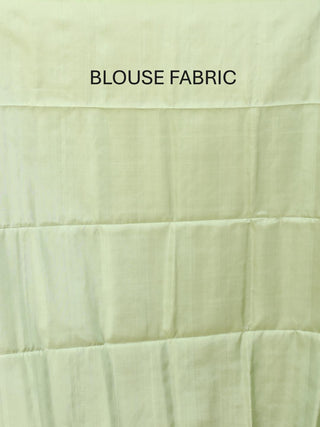 Pistachio Green, Grey, and Beige Panelled Pure Kanjivaram Silk Saree